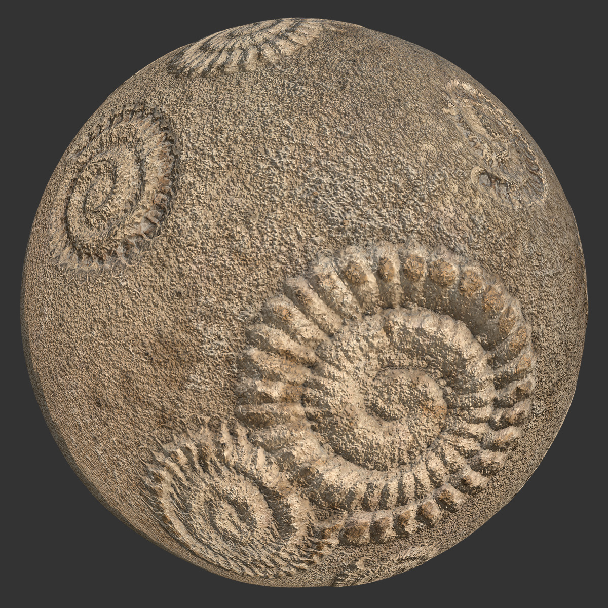 Fossil Rock Texture Free Pbr Texturecan