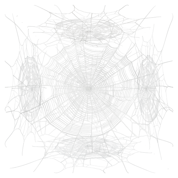 Spider Web / Cobweb Texture | Free PBR | TextureCan