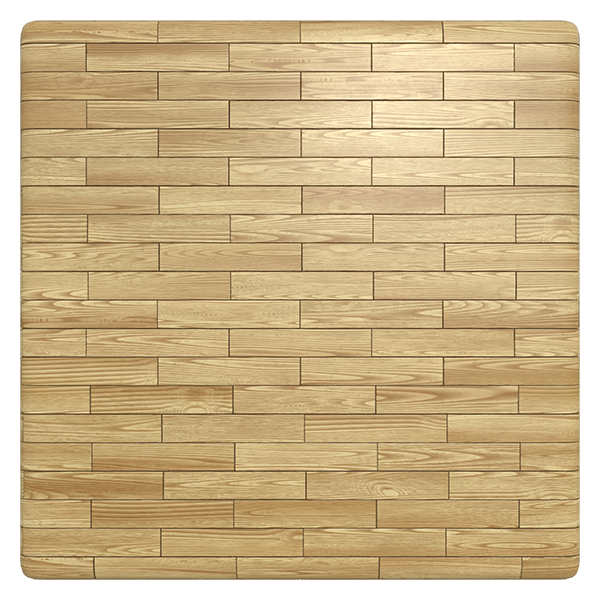 Beech Forest Floor seamless PBR Texture